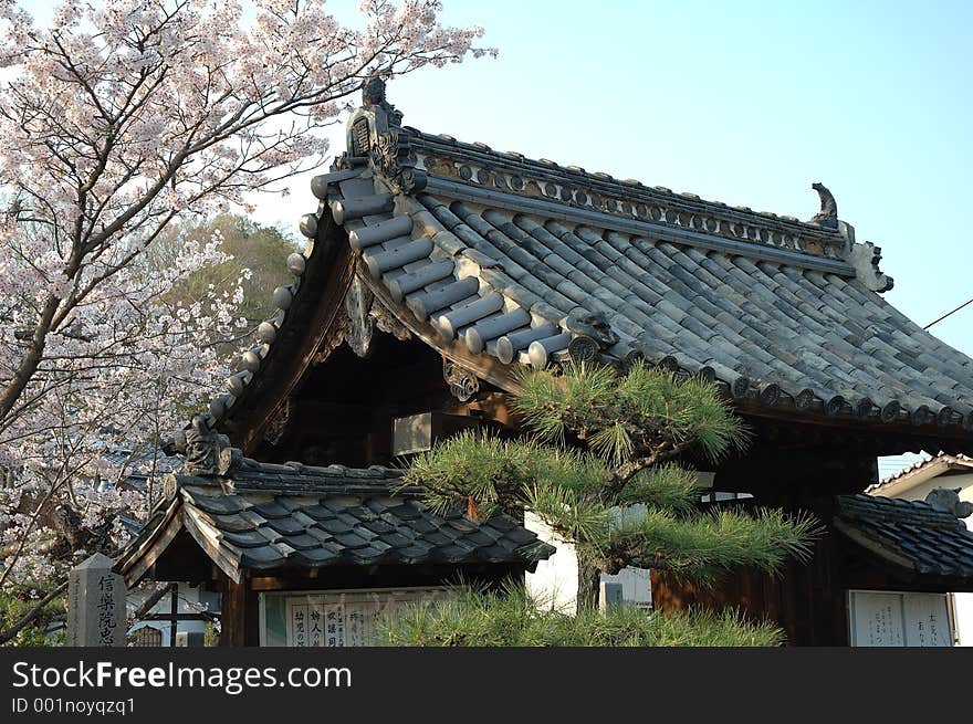 Japanese roof and trees. Japanese roof and trees