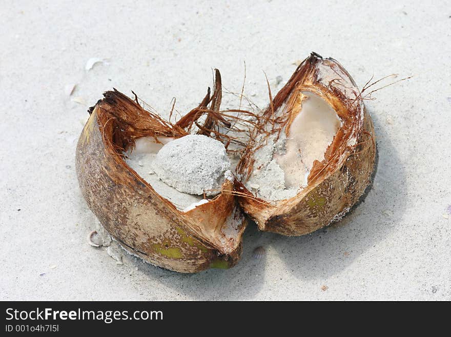 Cracked Coconut with sand in middle. Madeira Beach Florida