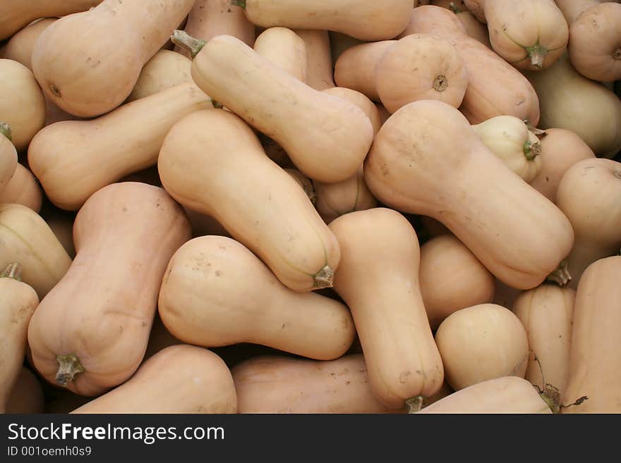 Squash Ready for Market