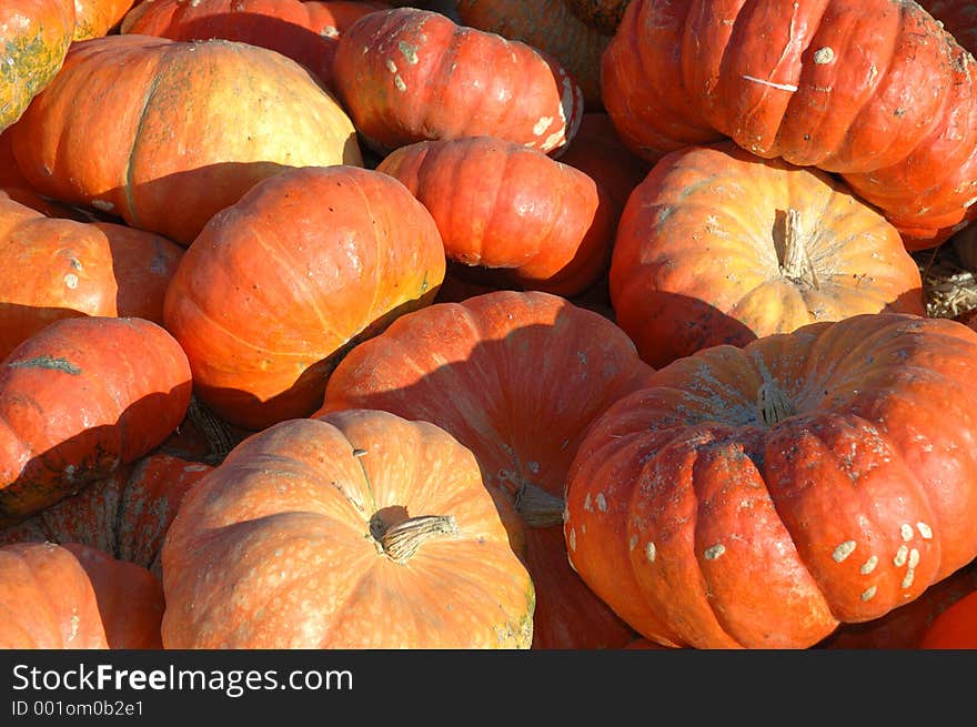 Pumpkins ready to go. Pumpkins ready to go