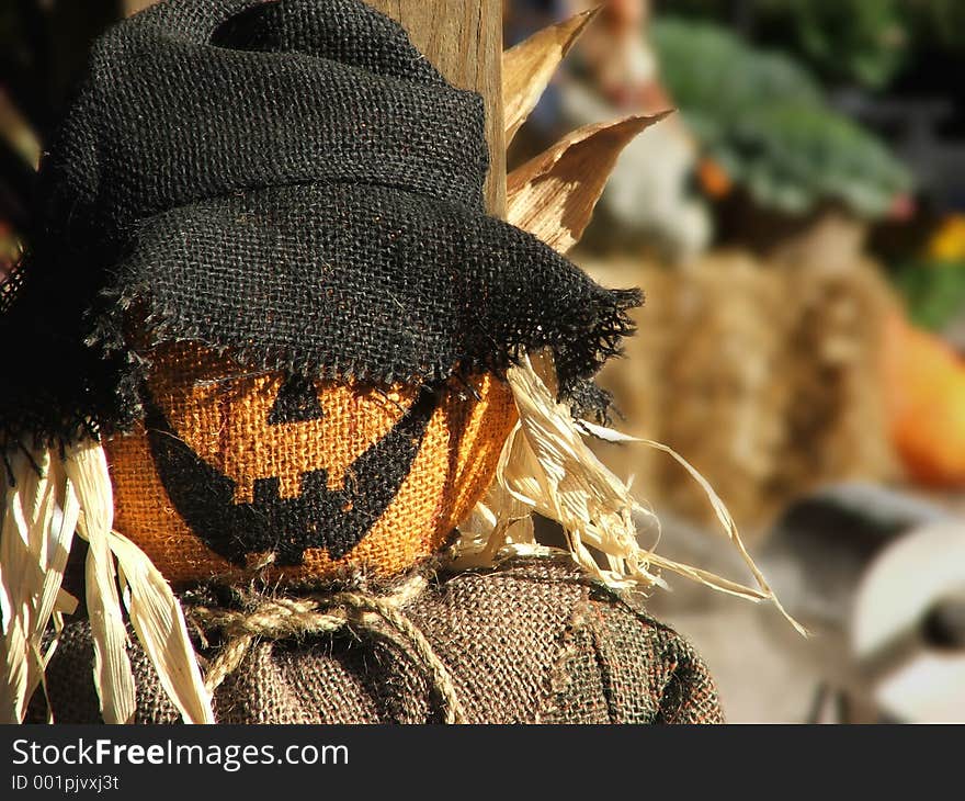 Grinning scarecrow face in shallow DOF. Grinning scarecrow face in shallow DOF