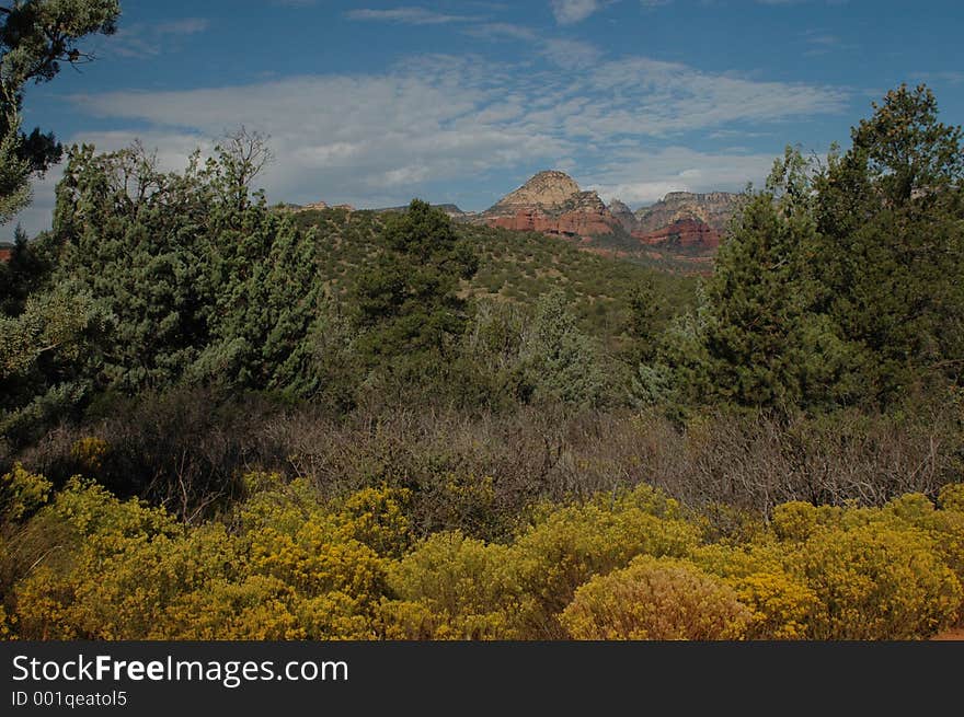 Arizona desert landscape with mountain background. Arizona desert landscape with mountain background