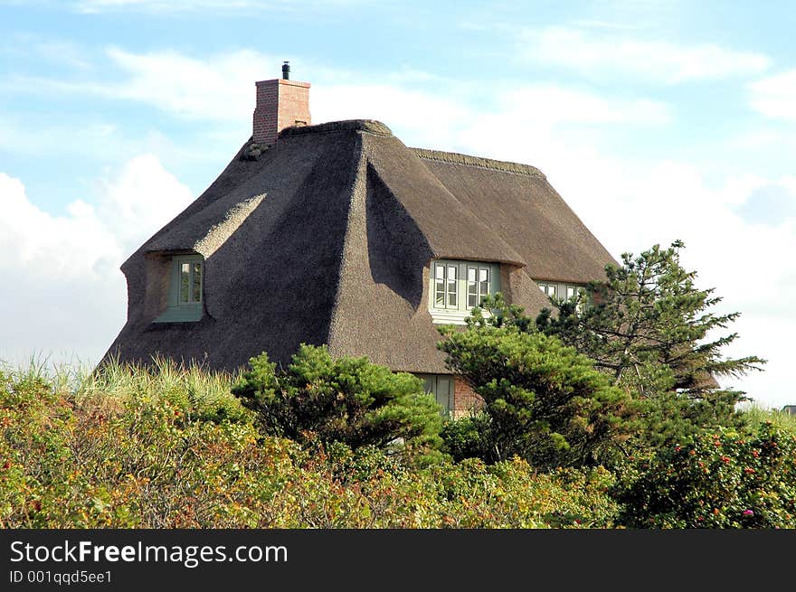 Roof thatched house1