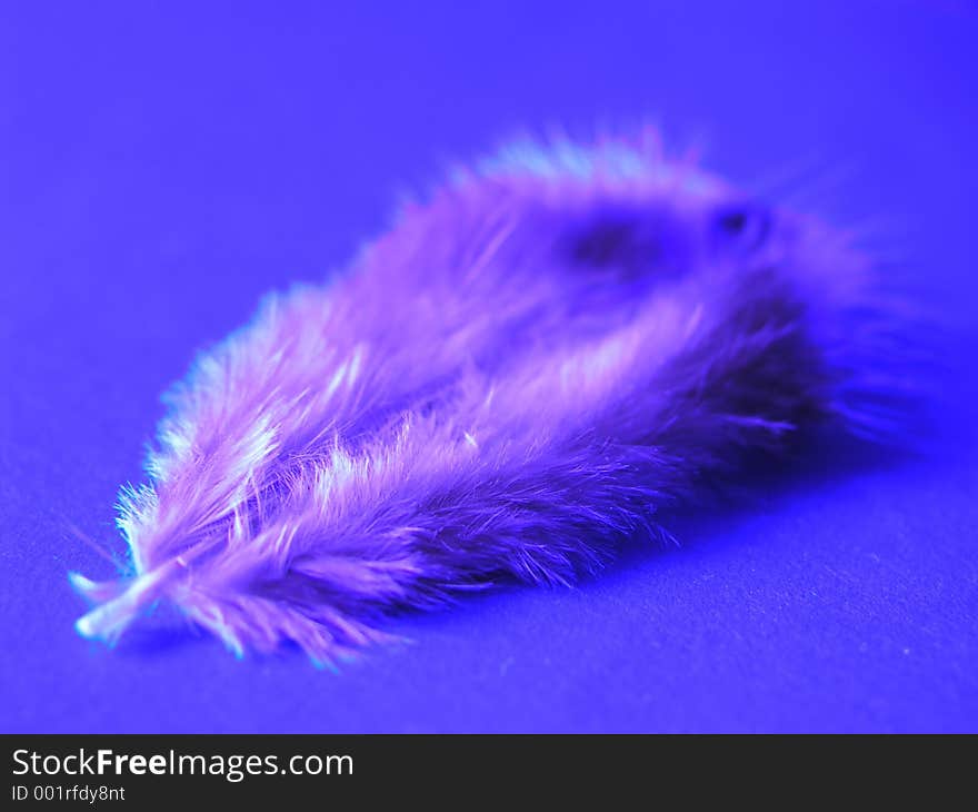 Feather 1