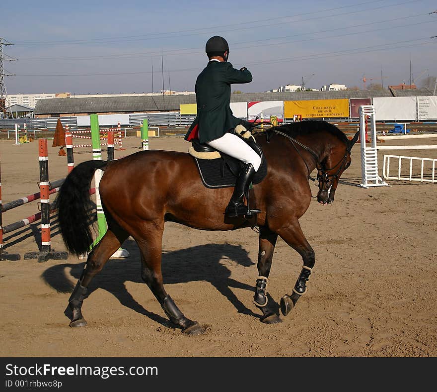 Russian horseriding championship. Concourt. Tyumen 2005. Russian horseriding championship. Concourt. Tyumen 2005.