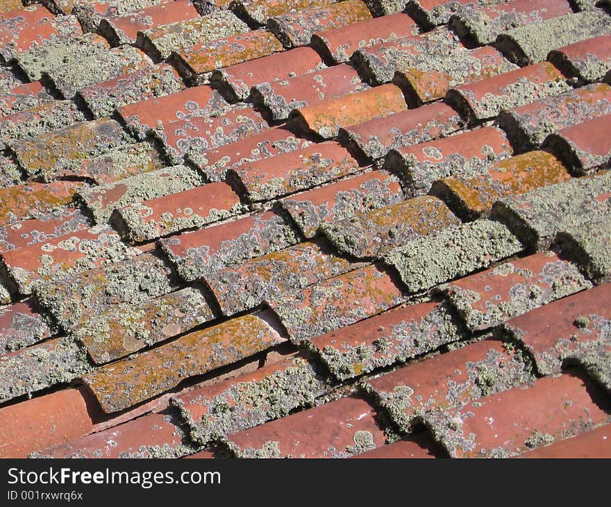 Roof of a Spanish Cathedral. Roof of a Spanish Cathedral