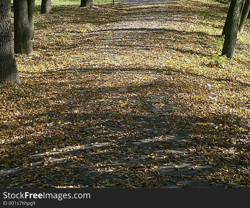 Park alley in autumn full of dead leaves. Park alley in autumn full of dead leaves