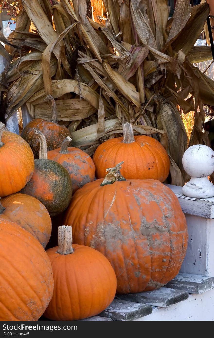 Pumpkins and corn stalks. Pumpkins and corn stalks