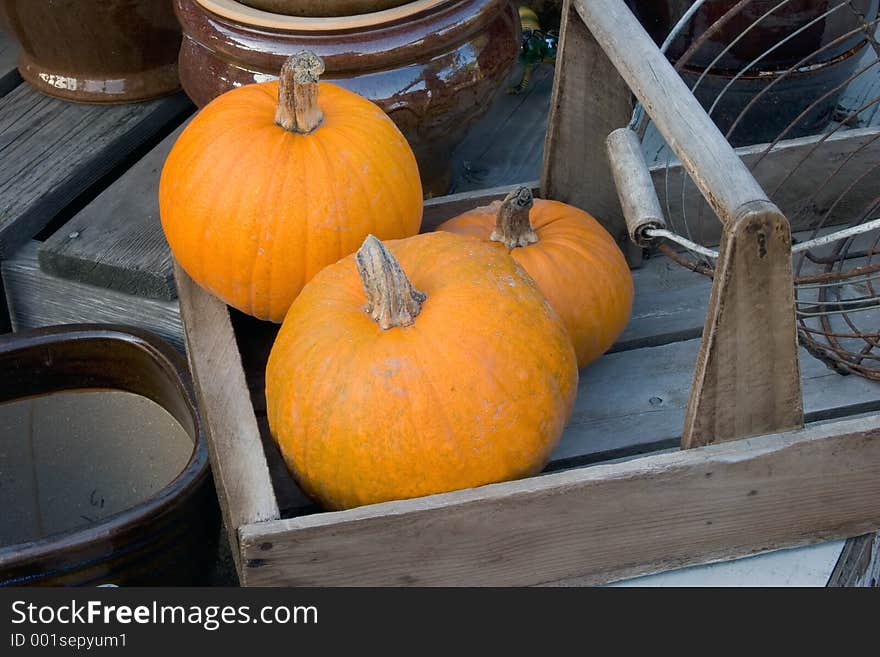 Autumn display with pumpkins. Autumn display with pumpkins