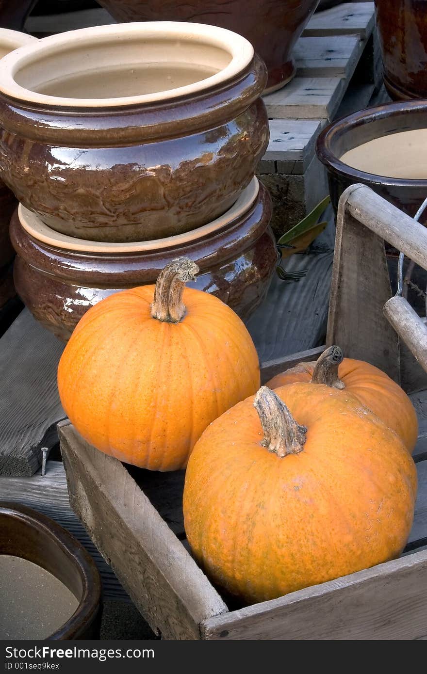 Pumpkin display with ceramic bowl