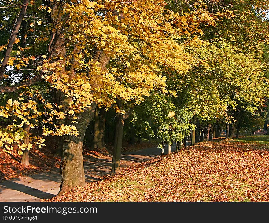 Park in fall time. Park in fall time