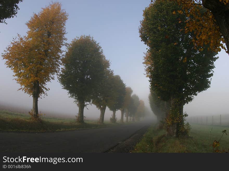 Autumn is here. Autumn is here