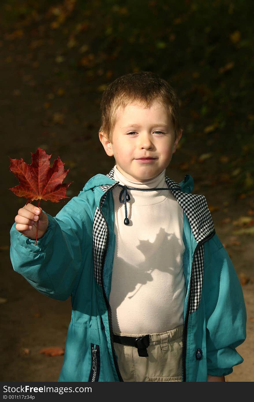 Boy showing a maple leaf. Boy showing a maple leaf.