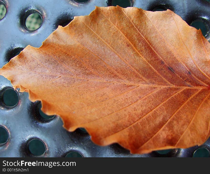 Leaf on playground equipment. Leaf on playground equipment