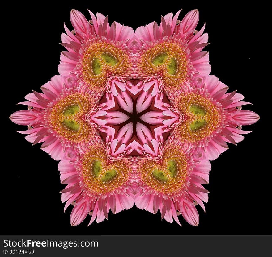 Pink flower mandala