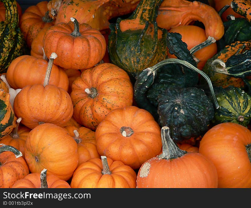 Jack-O-Lanterns Waiting to Happen