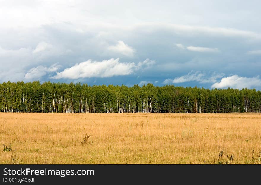 Summer Landscape