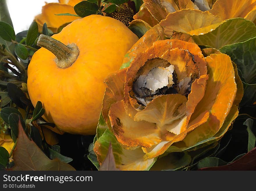 Autumn floral composition with pumpkin. Autumn floral composition with pumpkin