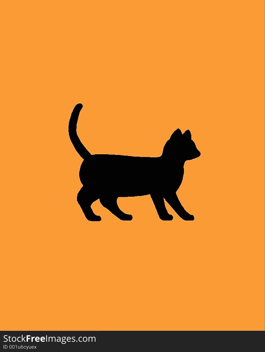 Black cat against orange background