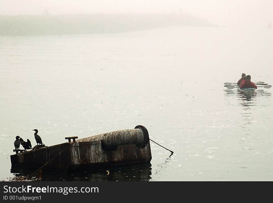 Some sea kayakers departing Santa Cruz, California harbor on a foggy morning. Some sea kayakers departing Santa Cruz, California harbor on a foggy morning.