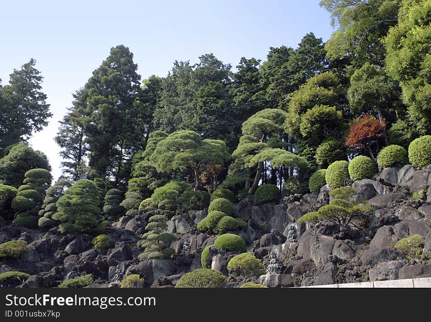 Japanese temple garden