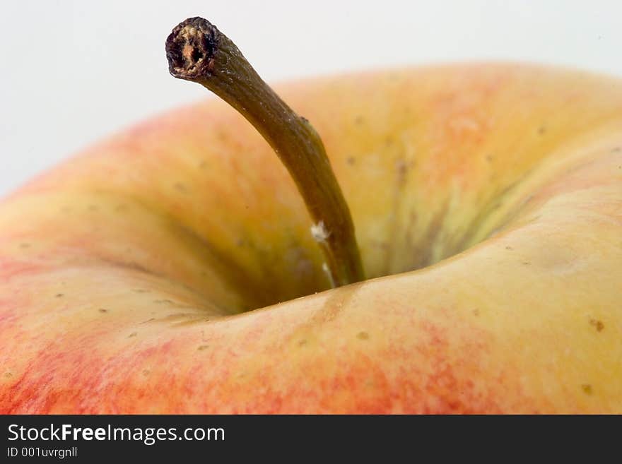 Apple Macro, stem