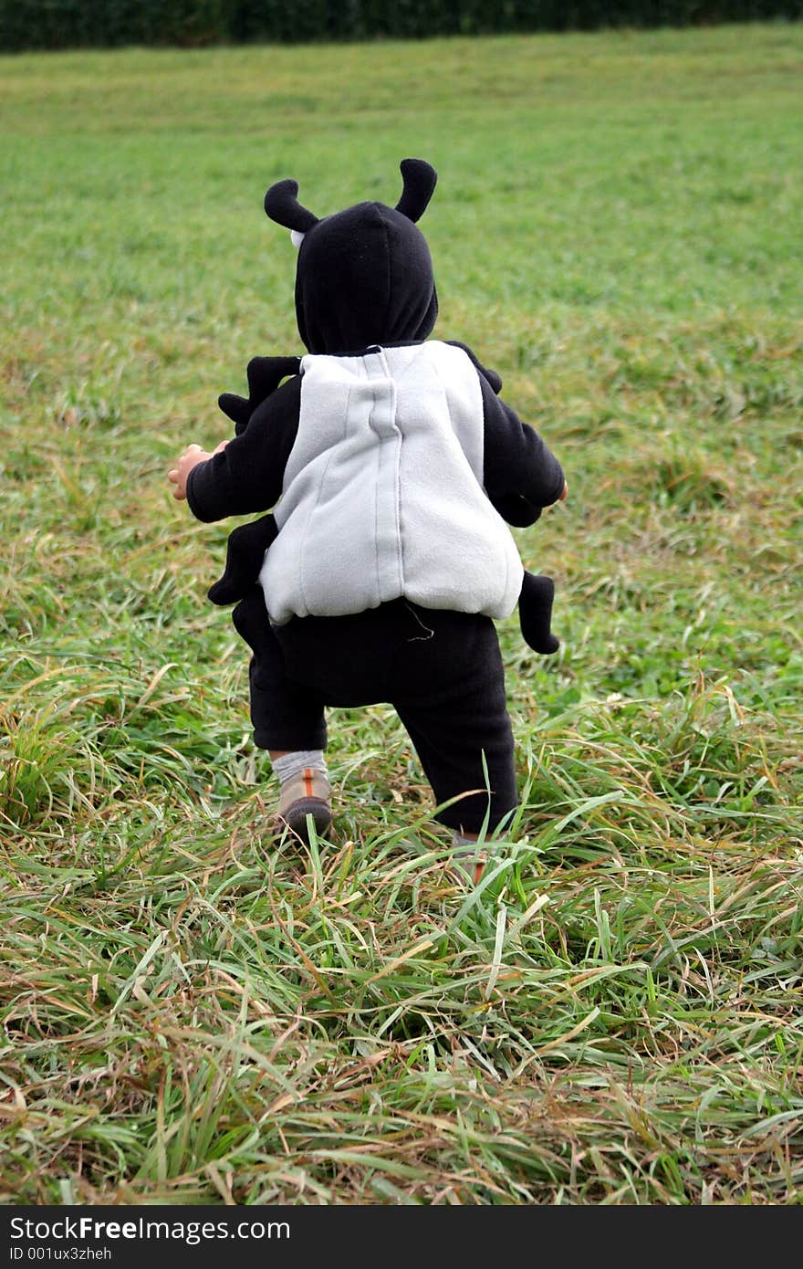 A toddler in his spider Halloween costume running through the field. A toddler in his spider Halloween costume running through the field.