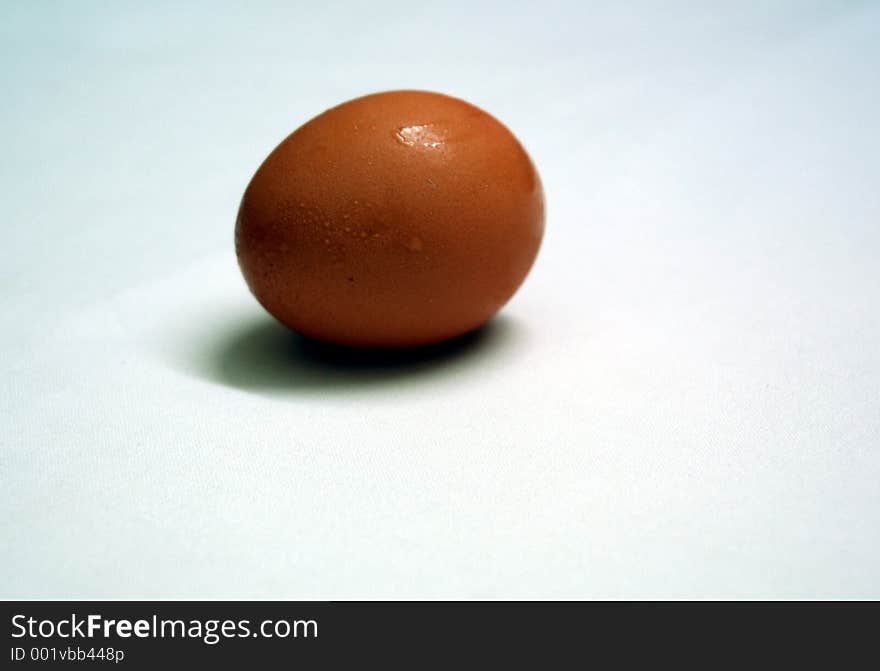 Chicken egg