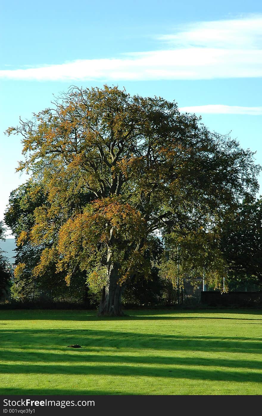 Autumn colours. Autumn colours