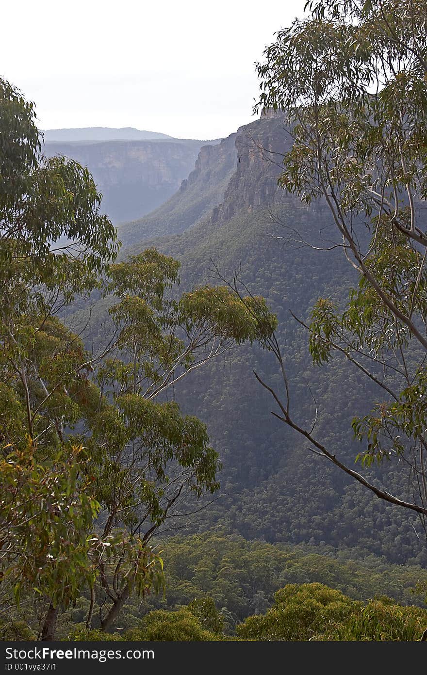 Mountain Valley