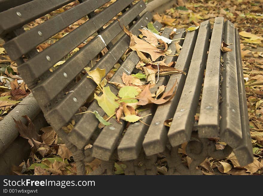 Autumn bench