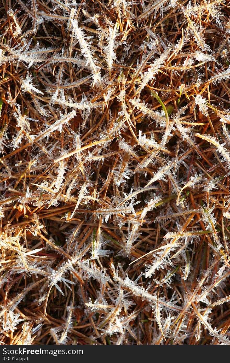 Snow crystals on grass