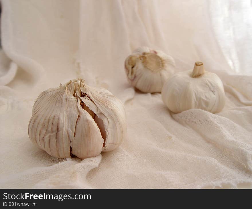 Garlic On Gauze (2)