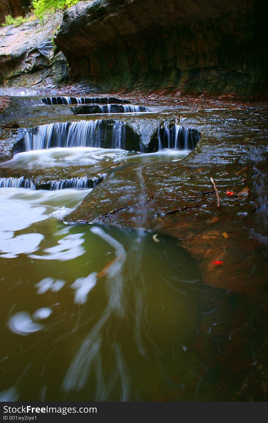 Red Leaves Flowing In Slot