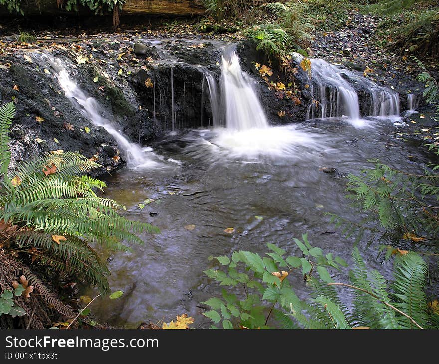 You'd never know this was just a few yards off the road if you weren't told to look for it. Victor Falls in Sumner, Washington isn't very well known, but it's a pretty place with several tiers to the falls and lots of greenery hiding it from passers-by. You'd never know this was just a few yards off the road if you weren't told to look for it. Victor Falls in Sumner, Washington isn't very well known, but it's a pretty place with several tiers to the falls and lots of greenery hiding it from passers-by.