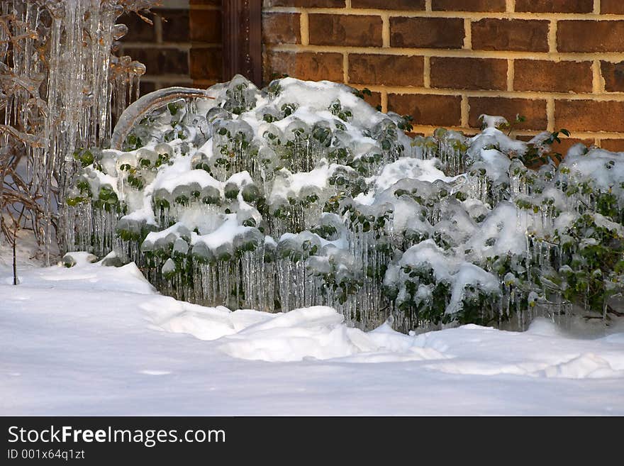 Icicles