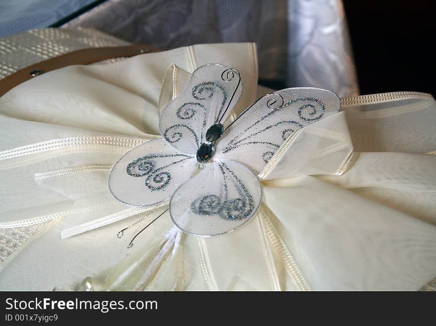 Butterfly in christening dress