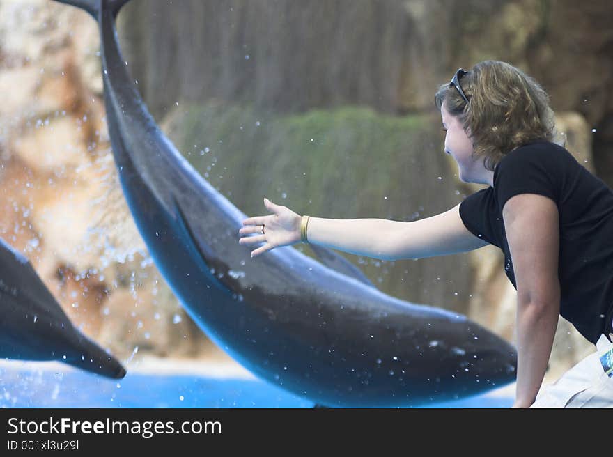 Chica tocando delfines