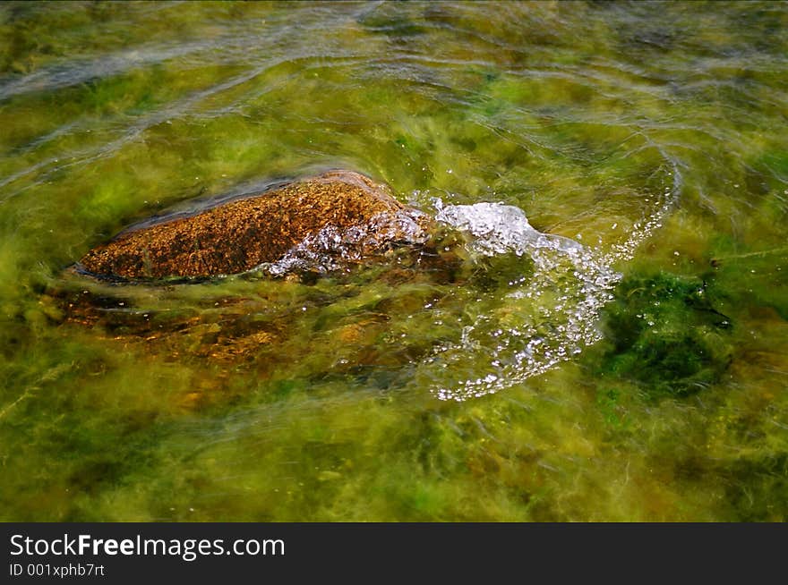 Stone Surrounded Algae Vegetation 29570027