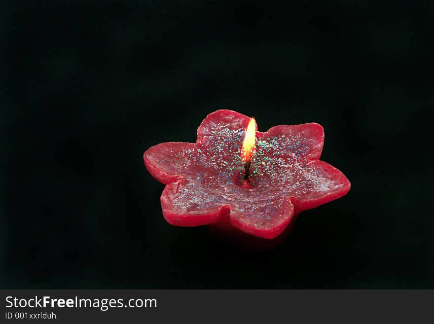 Candle flower isolated