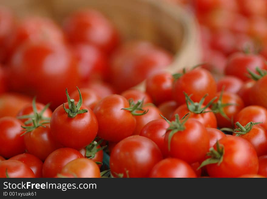 Tomatoes for Sale