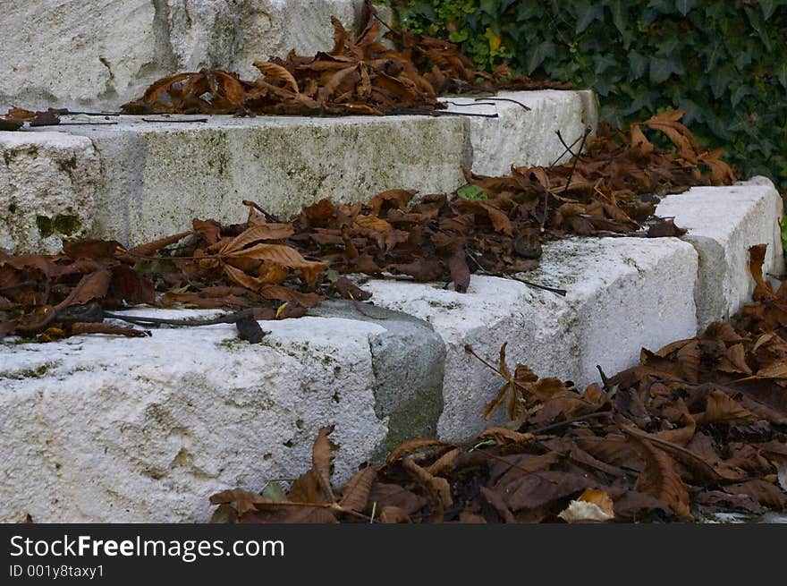 Brown leaves on the stairs the stone stairs