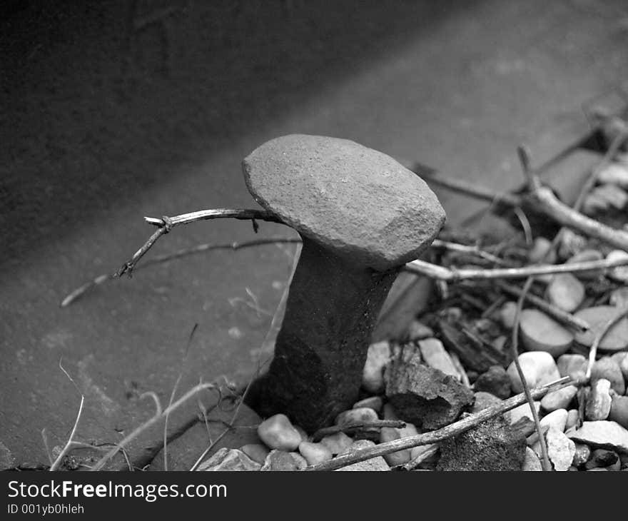 Up close shot of an old railroad spike (B&W)