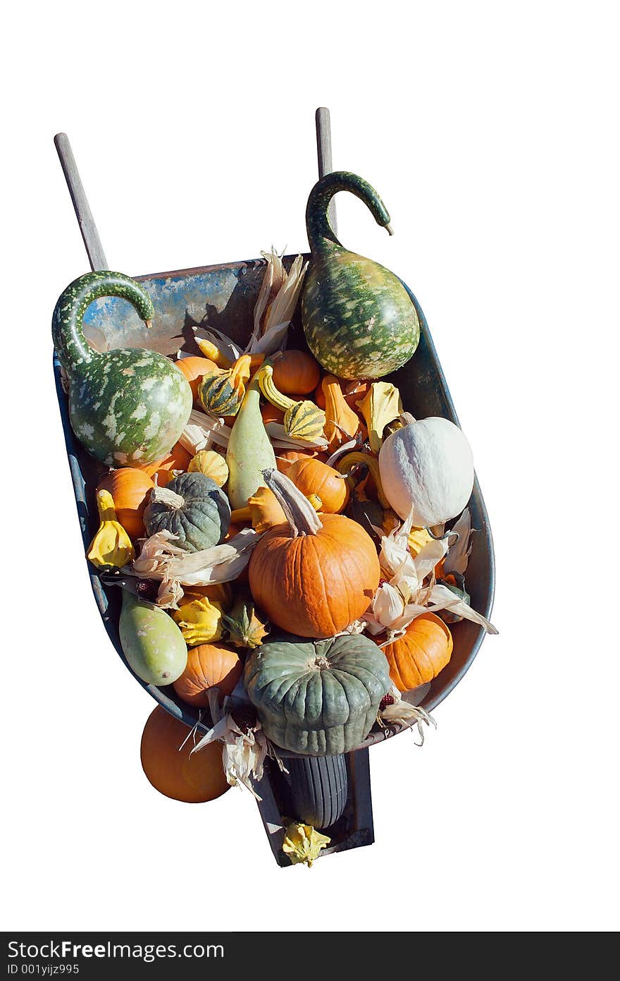 A wheel barrel with a variety of decorative squash. A wheel barrel with a variety of decorative squash