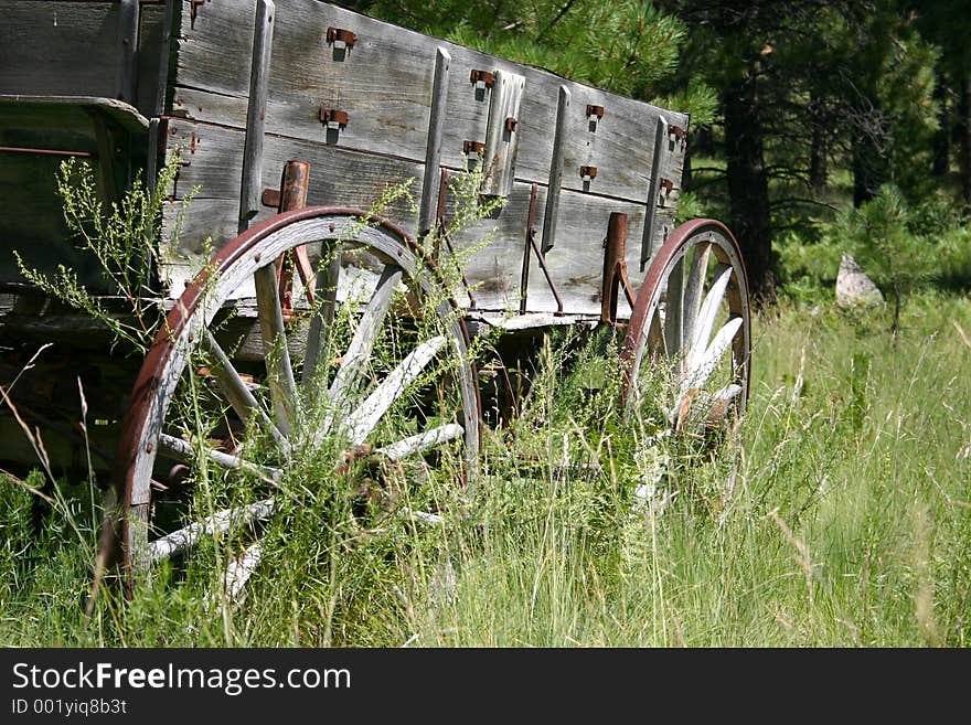 Covered wagon. Covered wagon