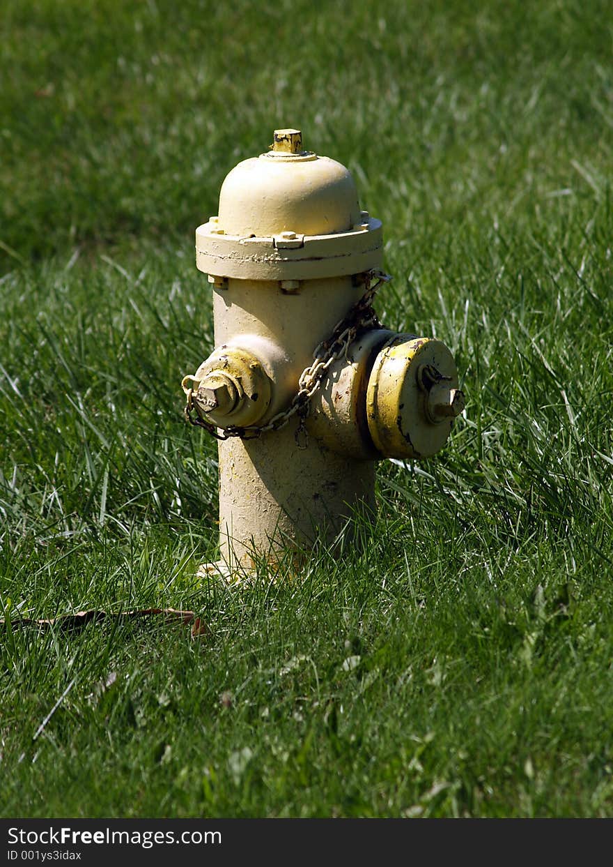 Old Fire Hydrant among Green Grass