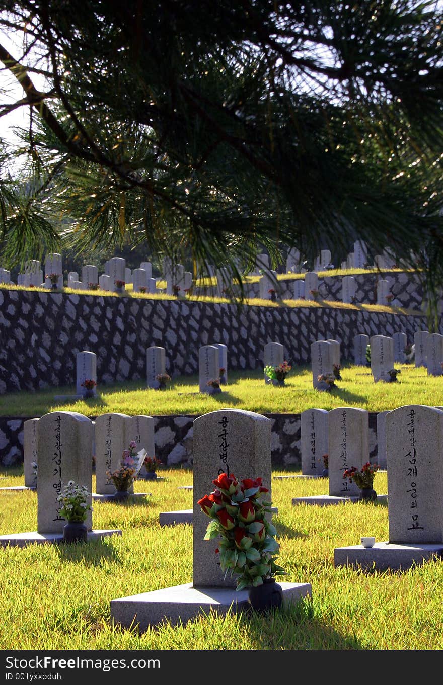 Graves at Seoul National Cemetery, South Korea