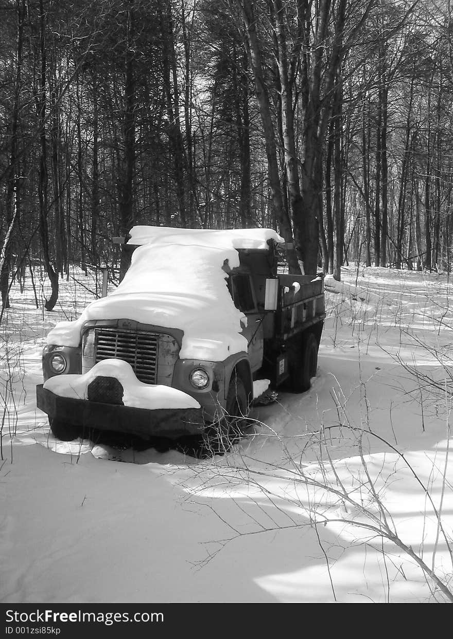 An abandoned dump truck sets forgotten in the woods