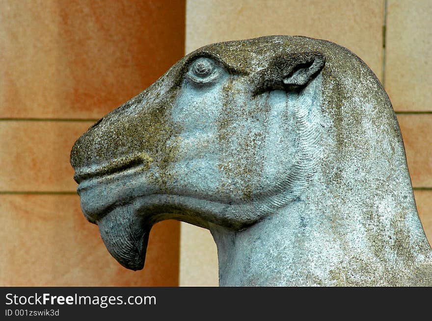 Statue of camel