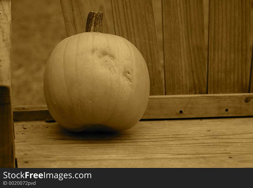 Pumpkin on a Bench. Pumpkin on a Bench